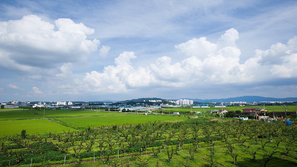 曲靖市山东省临沂沂南县农业局采购…